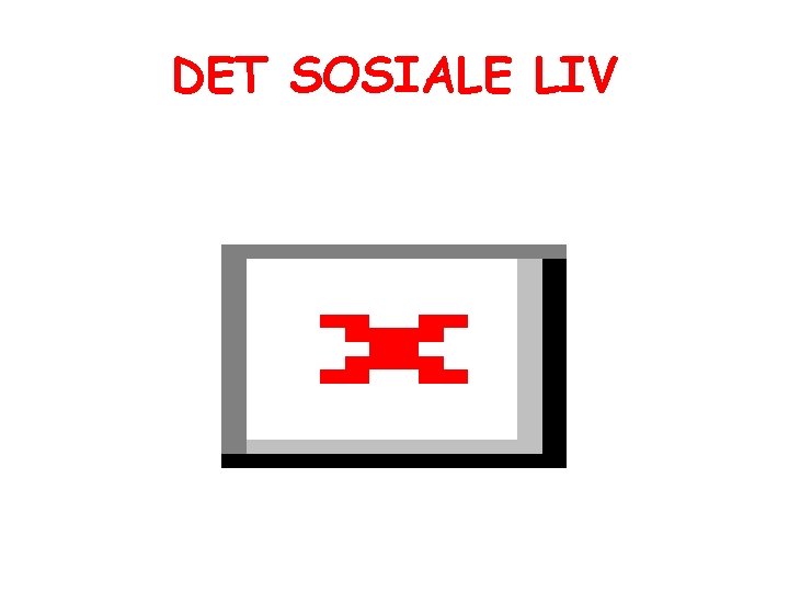 DET SOSIALE LIV DET SOSIALE LIV