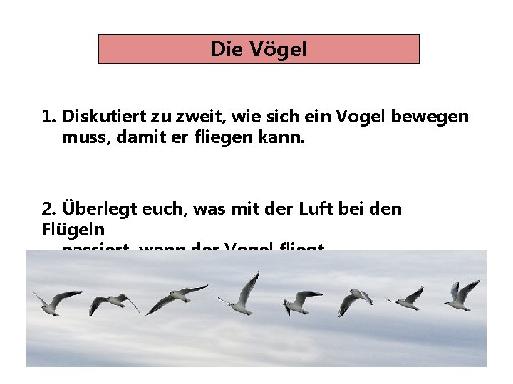 Die Vögel 1. Diskutiert zu zweit, wie sich ein Vogel bewegen muss, damit er