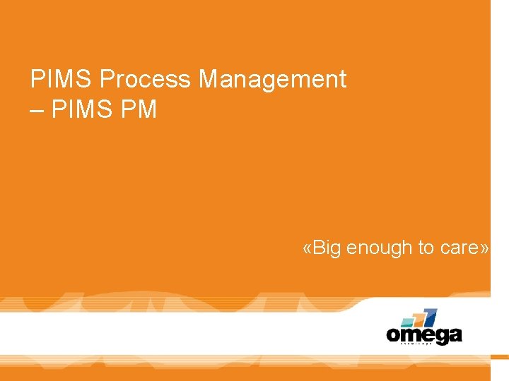 PIMS Process Management – PIMS PM «Big enough to care» 