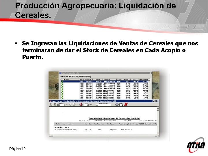 Producción Agropecuaria: Liquidación de Cereales. § Se Ingresan las Liquidaciones de Ventas de Cereales