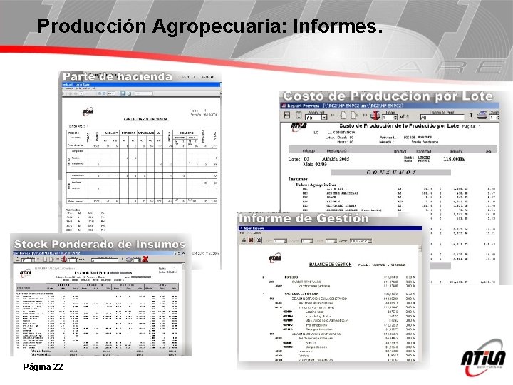 Producción Agropecuaria: Informes. Página 22 