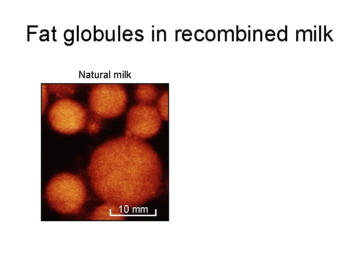 Fat globules in recombined milk Natural milk 10 mm 