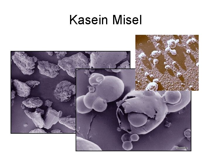 Kasein Misel 