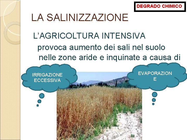 DEGRADO CHIMICO LA SALINIZZAZIONE L’AGRICOLTURA INTENSIVA provoca aumento dei sali nel suolo nelle zone