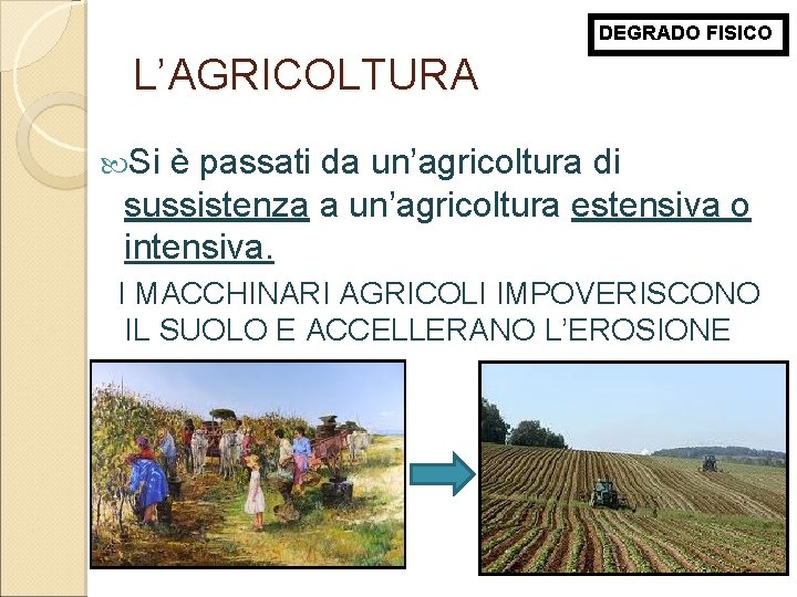 DEGRADO FISICO L’AGRICOLTURA Si è passati da un’agricoltura di sussistenza a un’agricoltura estensiva o