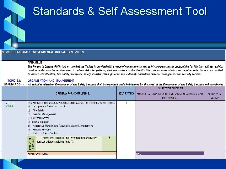  Standards & Self Assessment Tool 