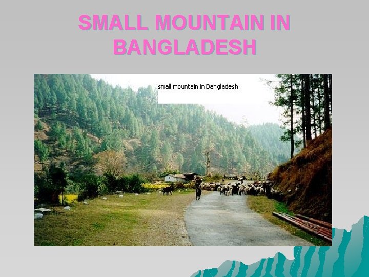SMALL MOUNTAIN IN BANGLADESH SMALL MOUNTAIN IN BANGLADESH