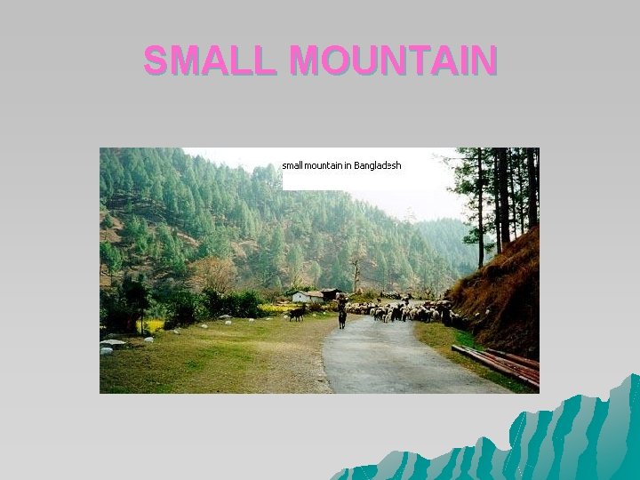 SMALL MOUNTAIN SMALL MOUNTAIN