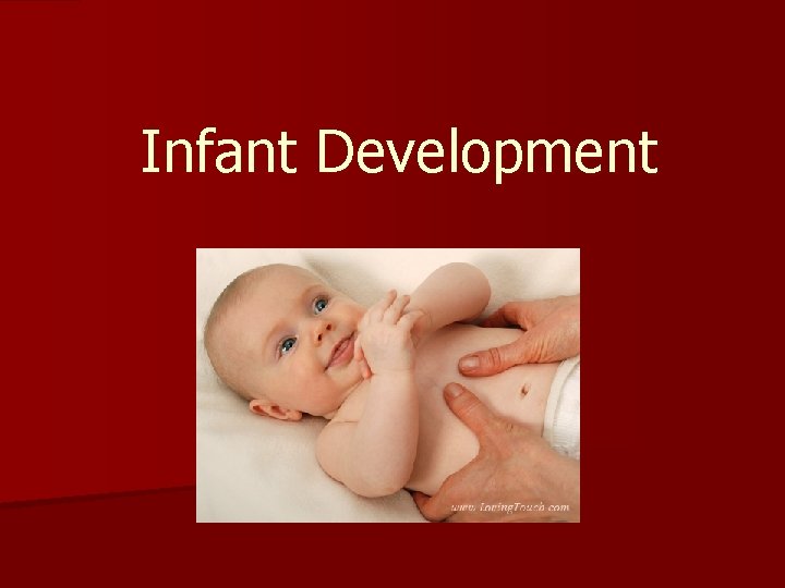 Infant Development 