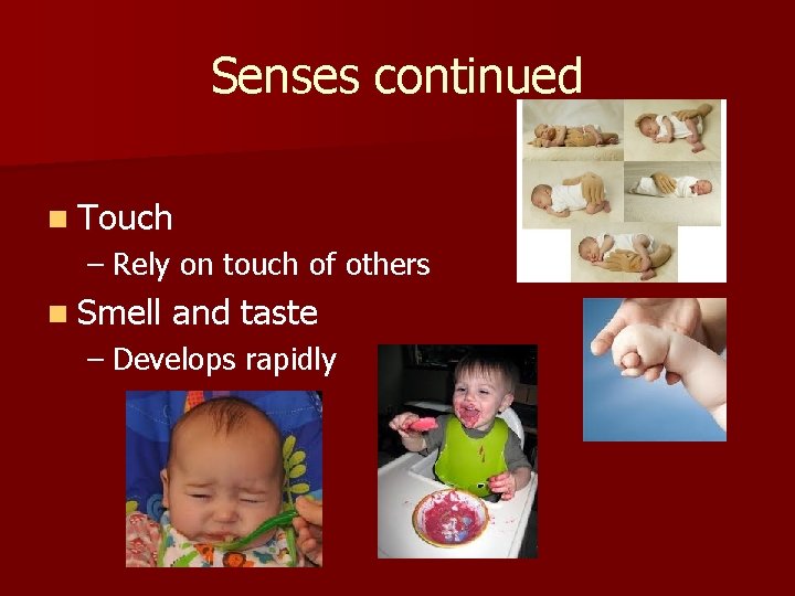 Senses continued n Touch – Rely on touch of others n Smell and taste Senses continued n Touch – Rely on touch of others n Smell and taste