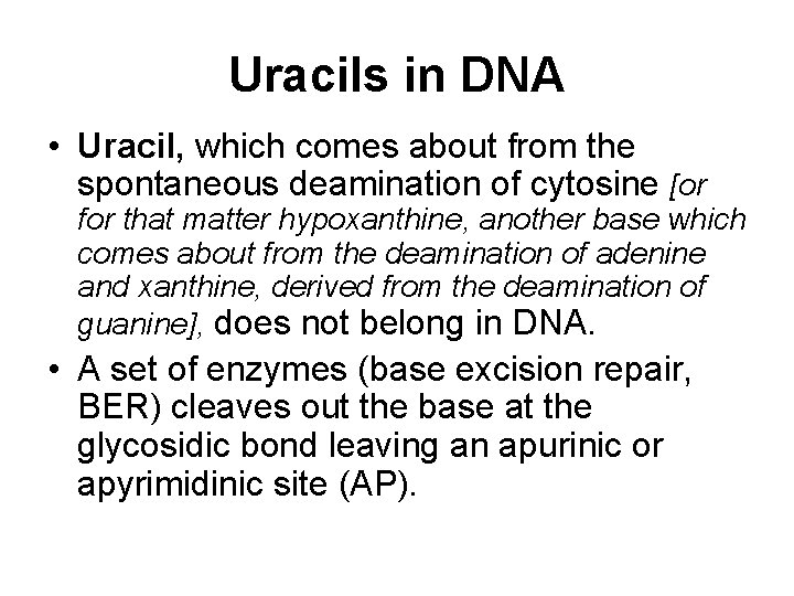 Uracils in DNA • Uracil, which comes about from the spontaneous deamination of cytosine