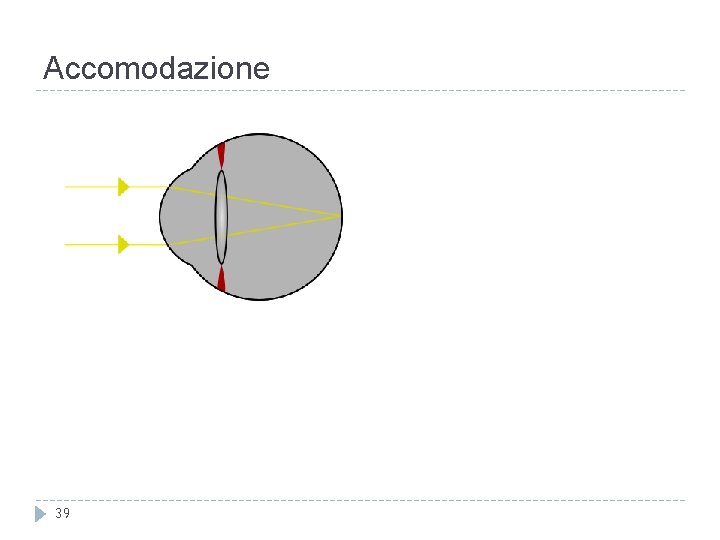 Accomodazione 39 Accomodazione 39