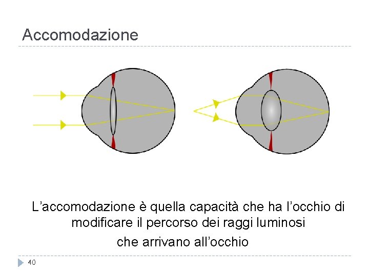 Accomodazione L’accomodazione è quella capacità che ha l’occhio di modificare il percorso dei raggi Accomodazione L’accomodazione è quella capacità che ha l’occhio di modificare il percorso dei raggi
