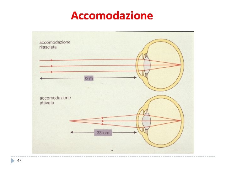 Accomodazione 44 