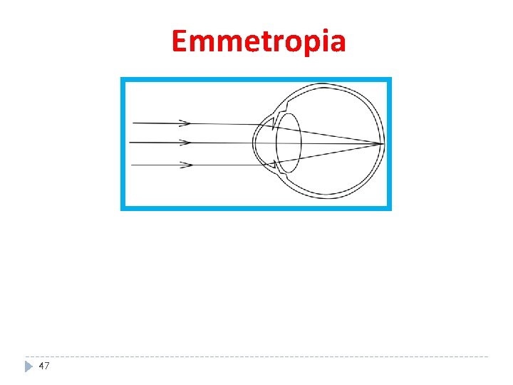 Emmetropia 47 