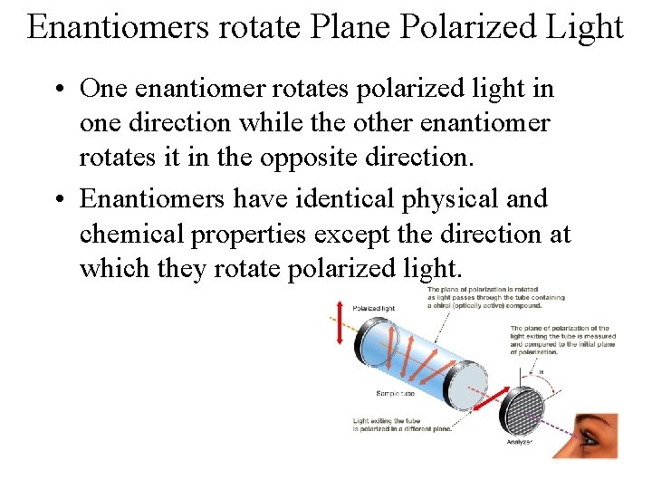 Enantiomers rotate Plane Polarized Light • One enantiomer rotates polarized light in one direction