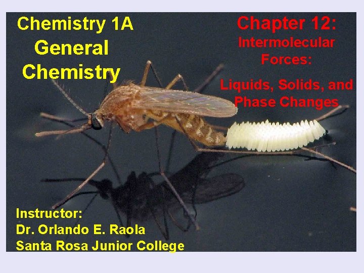 Chemistry 1 A Chapter 12: General Chemistry Intermolecular Forces: Instructor: Dr. Orlando E. Raola