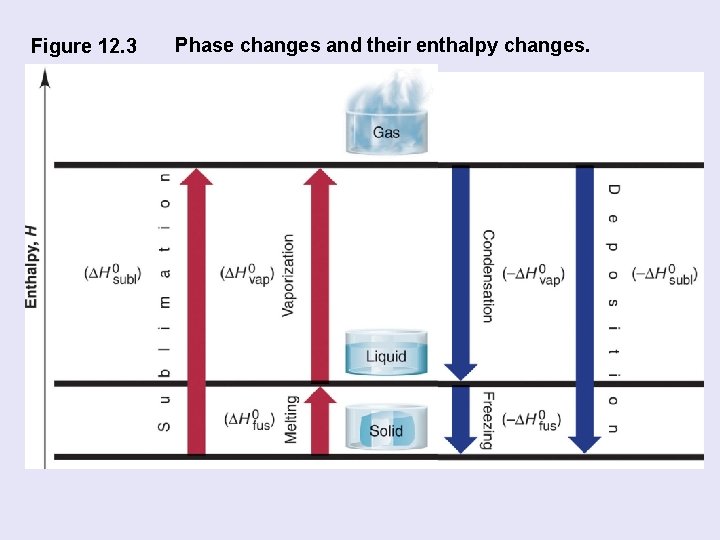 Figure 12. 3 Phase changes and their enthalpy changes. 