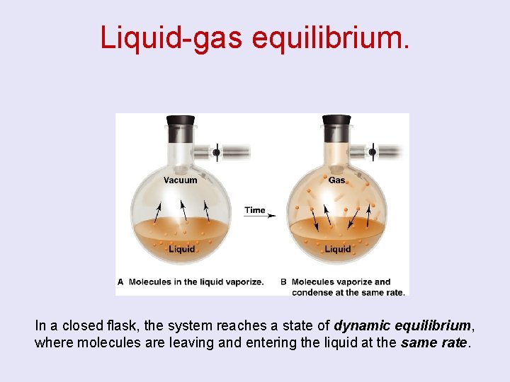 Liquid-gas equilibrium. In a closed flask, the system reaches a state of dynamic equilibrium,