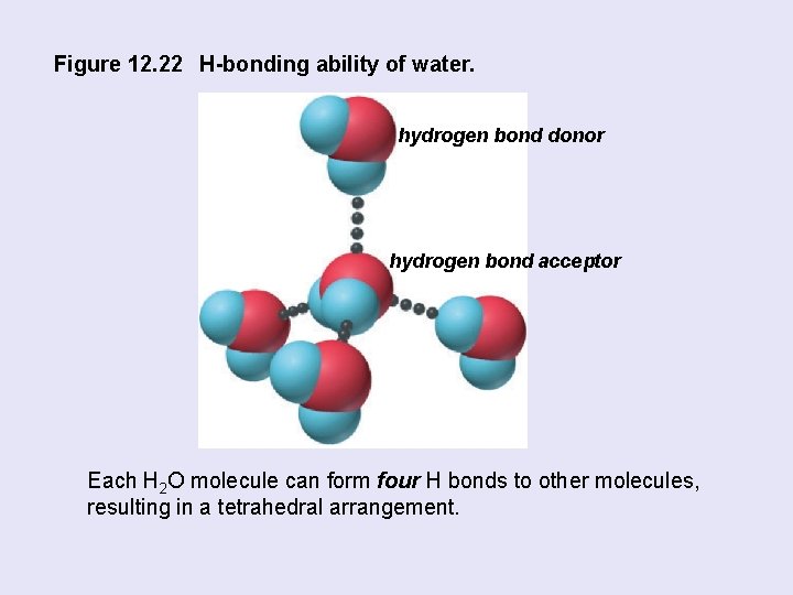 Figure 12. 22 H-bonding ability of water. hydrogen bond donor hydrogen bond acceptor Each