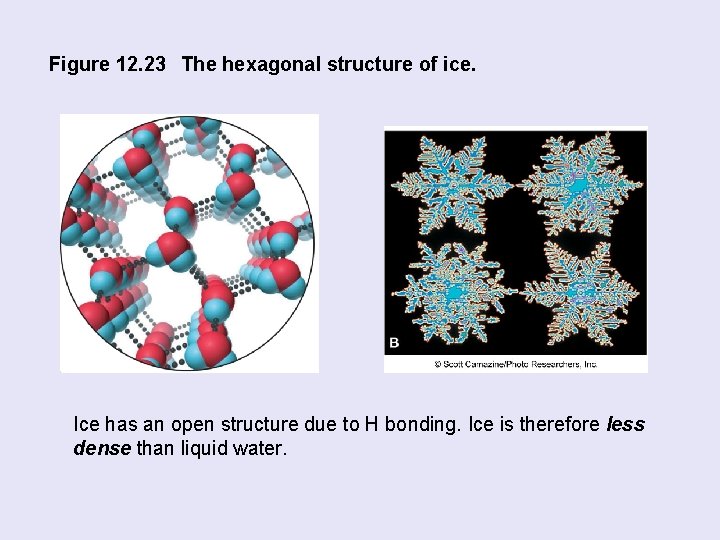 Figure 12. 23 The hexagonal structure of ice. Ice has an open structure due