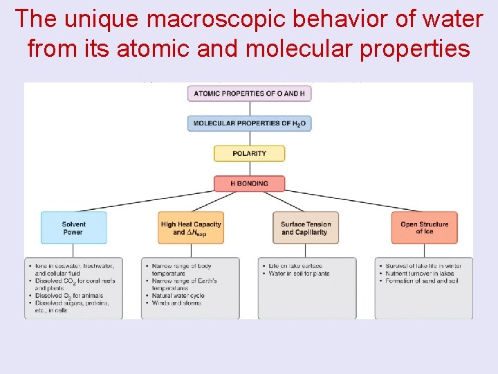 The unique macroscopic behavior of water from its atomic and molecular properties 