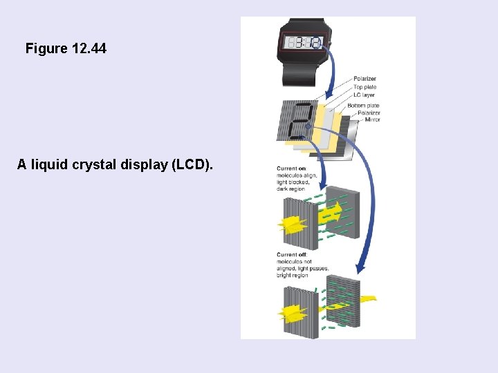 Figure 12. 44 A liquid crystal display (LCD). 