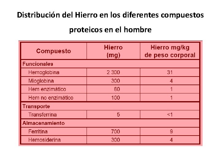 Distribución del Hierro en los diferentes compuestos proteicos en el hombre 