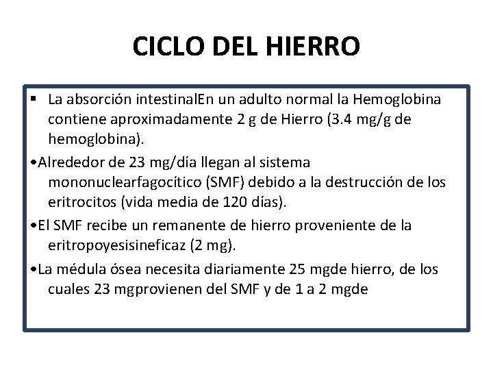 CICLO DEL HIERRO § La absorción intestinal. En un adulto normal la Hemoglobina contiene