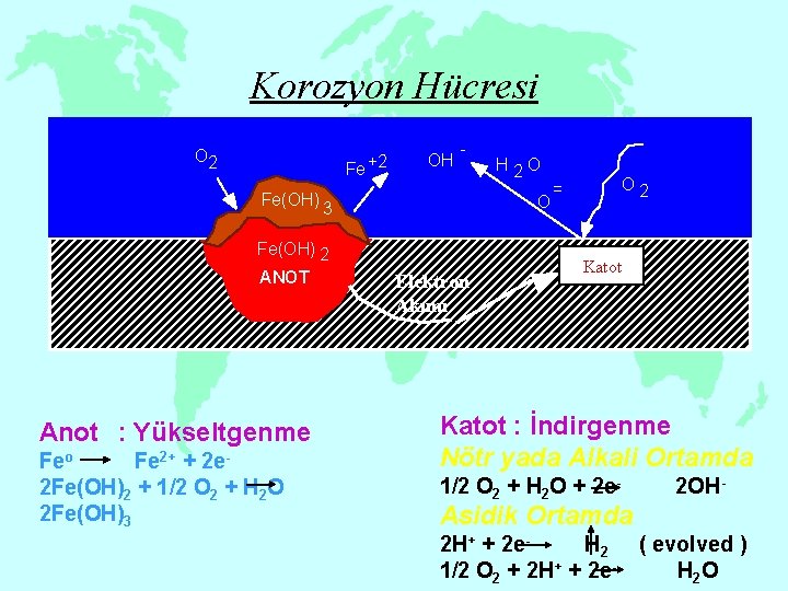 Korozyon Hücresi O 2 Fe +2 Fe(OH) OH - O 3 Fe(OH) 2 ANOT