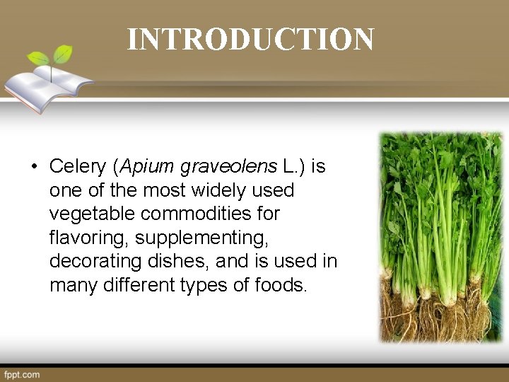 INTRODUCTION • Celery (Apium graveolens L. ) is one of the most widely used INTRODUCTION • Celery (Apium graveolens L. ) is one of the most widely used