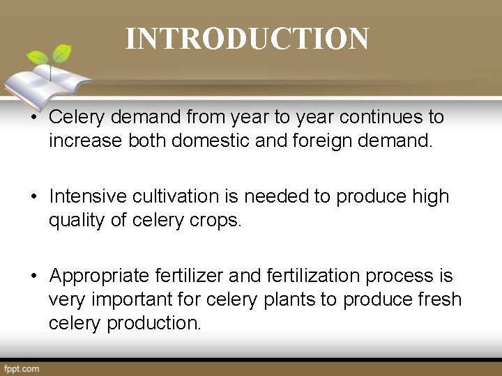 INTRODUCTION • Celery demand from year to year continues to increase both domestic and INTRODUCTION • Celery demand from year to year continues to increase both domestic and