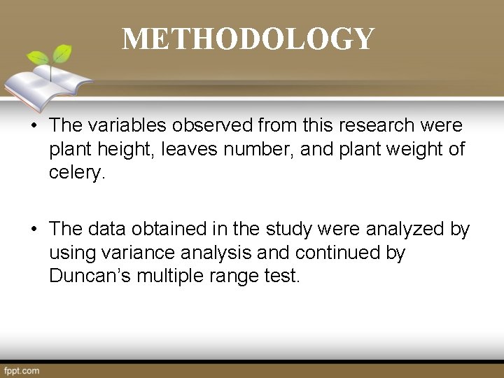 METHODOLOGY • The variables observed from this research were plant height, leaves number, and METHODOLOGY • The variables observed from this research were plant height, leaves number, and