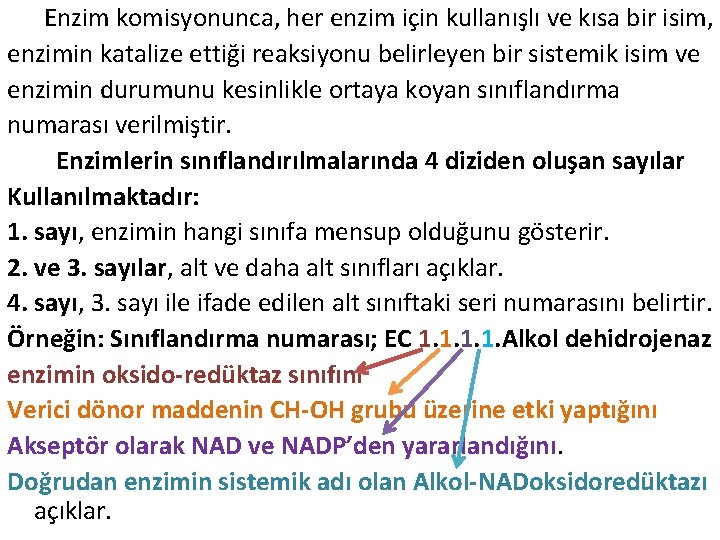 Enzim komisyonunca, her enzim için kullanışlı ve kısa bir isim, enzimin katalize ettiği reaksiyonu