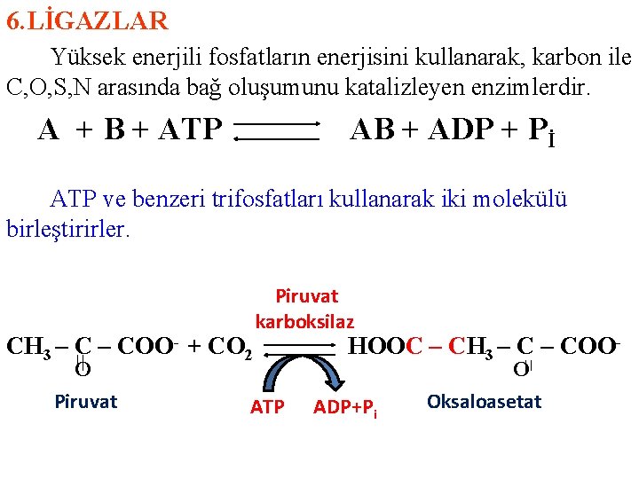 6. LİGAZLAR Yüksek enerjili fosfatların enerjisini kullanarak, karbon ile C, O, S, N arasında