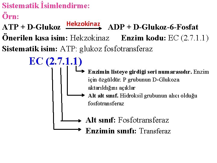 Sistematik İsimlendirme: Örn: ATP + D-Glukoz Hekzokinaz ADP + D-Glukoz-6 -Fosfat Önerilen kısa isim:
