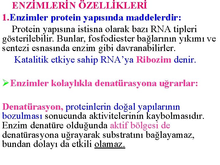 ENZİMLERİN ÖZELLİKLERİ 1. Enzimler protein yapısında maddelerdir: Protein yapısına istisna olarak bazı RNA tipleri