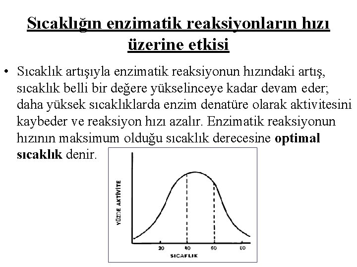 Sıcaklığın enzimatik reaksiyonların hızı üzerine etkisi • Sıcaklık artışıyla enzimatik reaksiyonun hızındaki artış, sıcaklık