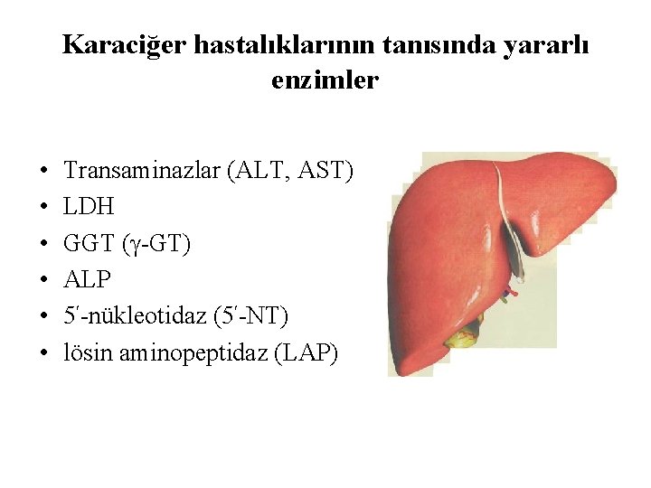 Karaciğer hastalıklarının tanısında yararlı enzimler • • • Transaminazlar (ALT, AST) LDH GGT (