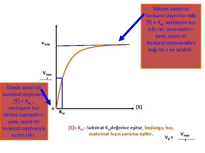 Yüksek substrat konsantrasyonlarında [S] > Km reaksiyon hızı sıfırıncı basamaktıryani, substrat konsantrasyonundan bağımsız ve