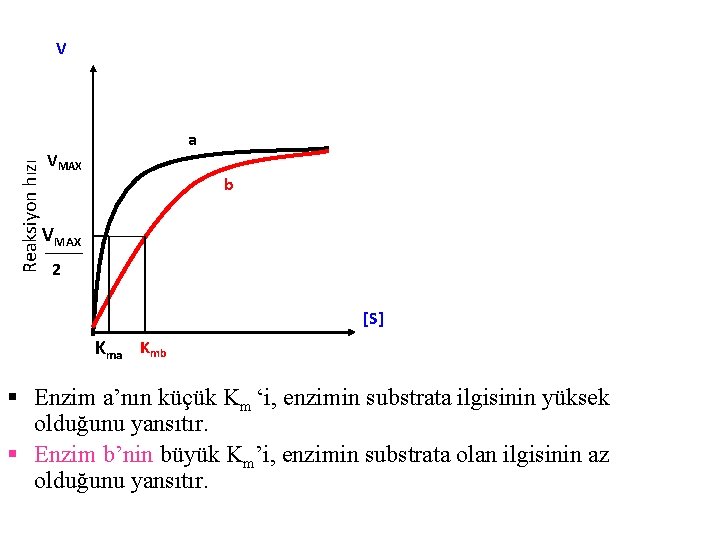 Reaksiyon hızı V a VMAX b VMAX 2 [S] Kma Kmb § Enzim a’nın