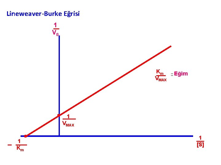 Lineweaver-Burke Eğrisi 1 V 0 Km VMAX . 1 Km . Eğim 1 VMAX
