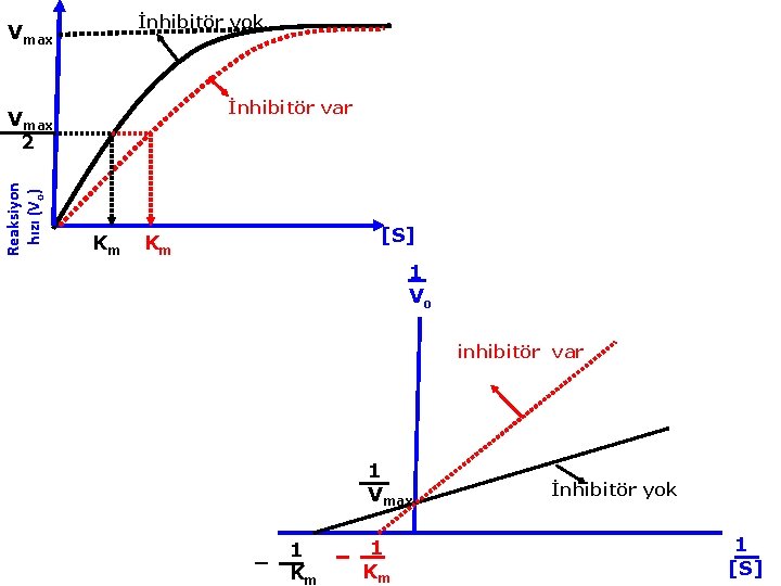 İnhibitör yok Vmax İnhibitör var Reaksiyon hızı (Vo) Vmax 2 Km [S] Km 1