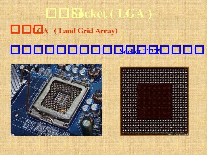 ��� Socket ( LGA ) ��� LGA ( Land Grid Array) ��������� Socket T