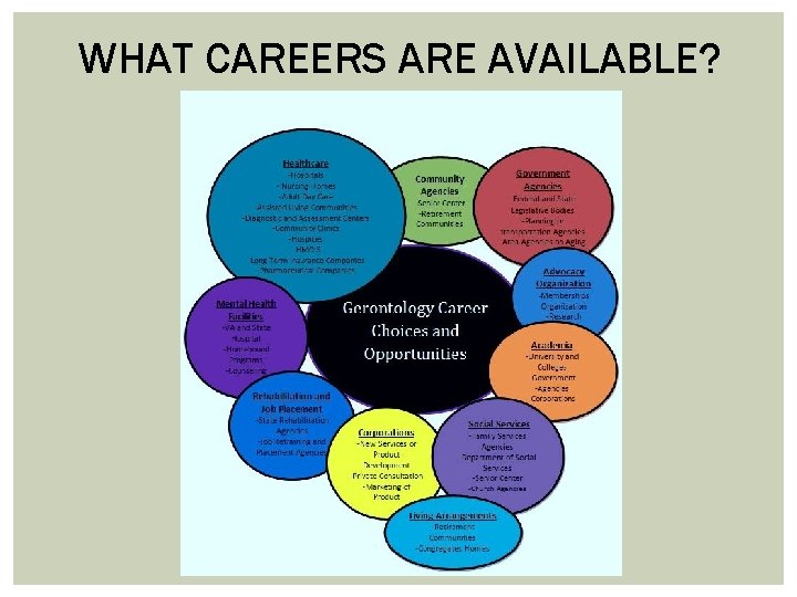 WHAT CAREERS ARE AVAILABLE? 