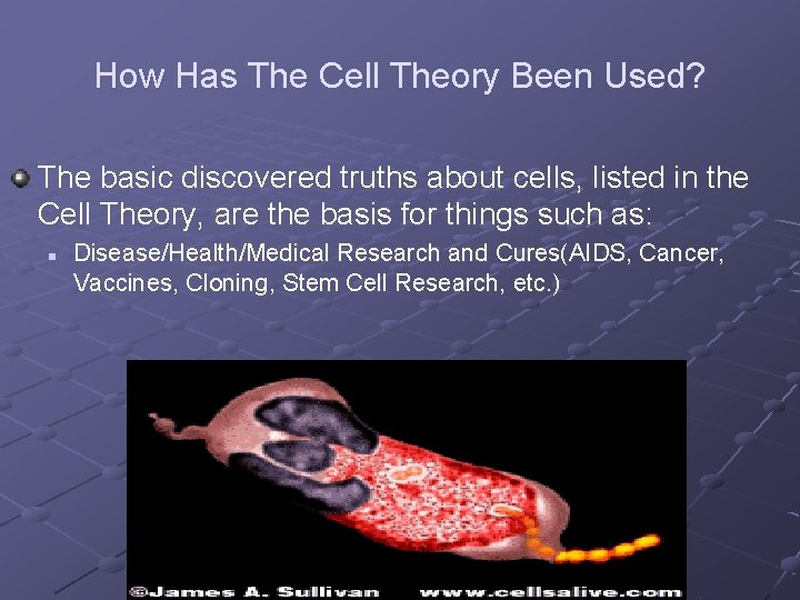 How Has The Cell Theory Been Used? The basic discovered truths about cells, listed