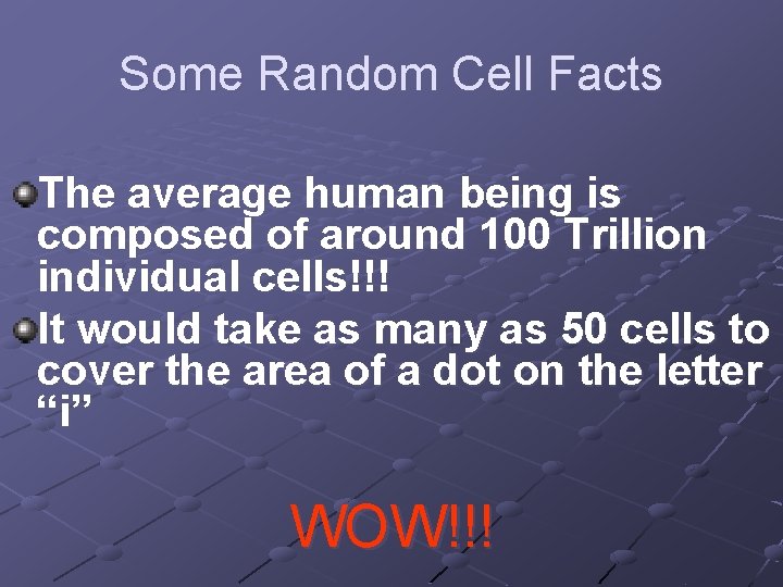 Some Random Cell Facts The average human being is composed of around 100 Trillion