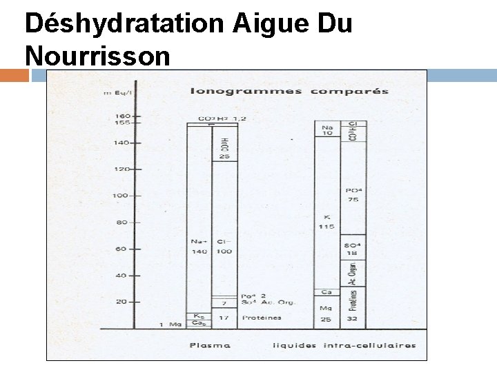 Déshydratation Aigue Du Nourrisson 