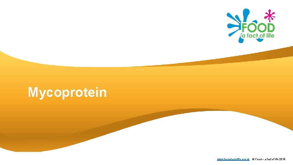 Mycoprotein www. foodafactoflife. org. uk © Food – a fact of life 2019 