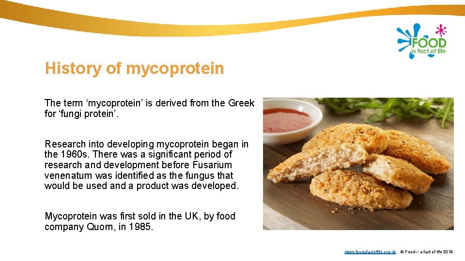 History of mycoprotein The term ‘mycoprotein’ is derived from the Greek for ‘fungi protein’.